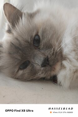 IMG20250429082535.jpg
