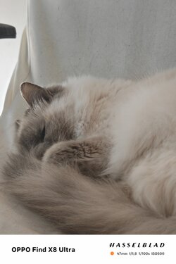 IMG20250429082103.jpg