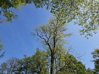 20250429_113339.jpg