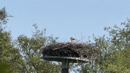 IMG_0701.jpeg