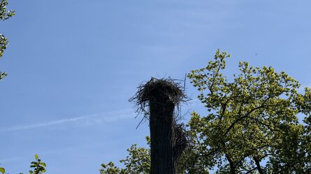 IMG_0713.jpeg