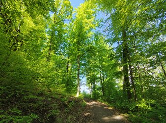 IMG_20250429_150512795_HDR.jpg