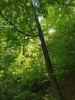 IMG_20250429_150630831_HDR.jpg