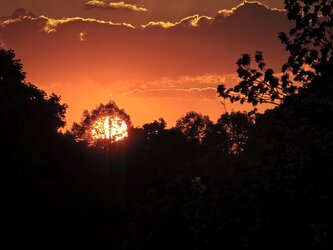 IMG_20250429_201028.jpg