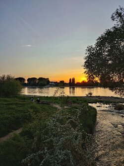 20250429_204423.JPG
