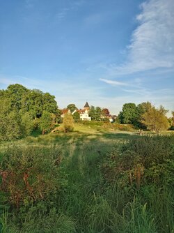 20250427_193434 (1).JPG
