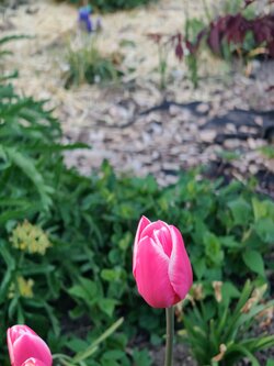 IMG20250429202933~2.jpg