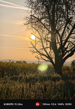 IMG_20250430_064334.jpg