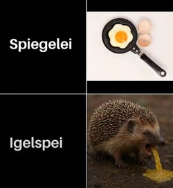 1000053703.jpg