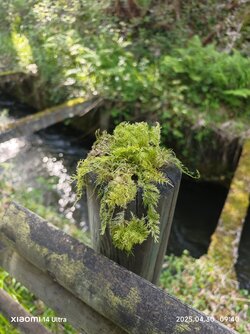 IMG_20250430_094000.jpg