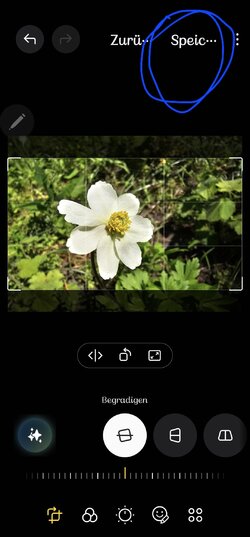 Screenshot_20250430_163723_Photo Editor.jpg