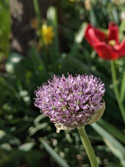 IMG20250430170103~2.jpg