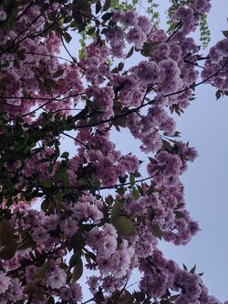 IMG20250430203545~2.jpg