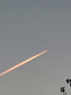 IMG20250430203933~2.jpg