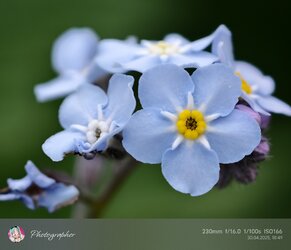 IMG_20250430_184951.jpg