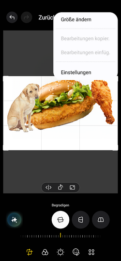 Screenshot_20250430_211651_Photo Editor.png