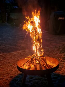 IMG_20250430_210910.jpg