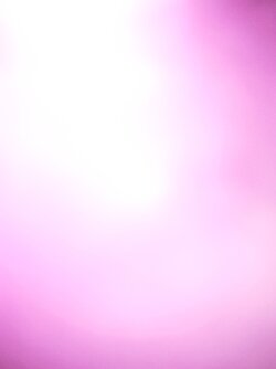 IMG_20250501_082839.jpg