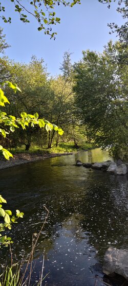 IMG_20250430_190024.jpg