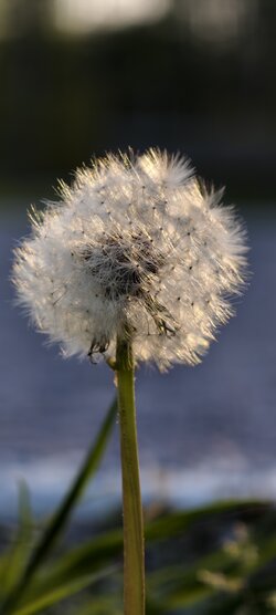 IMG_20250430_193004.jpg