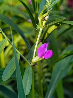 IMG_20250430_184549.jpg
