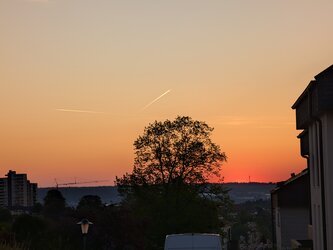 PXL_20250501_040931960.jpg