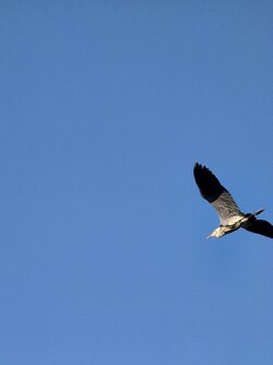 20250430_192536.jpg