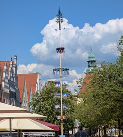 PXL_20250501_125625082~2.jpg