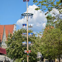 PXL_20250501_125720076.jpg