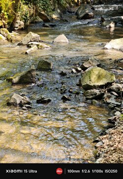 IMG_20250501_142912.jpg
