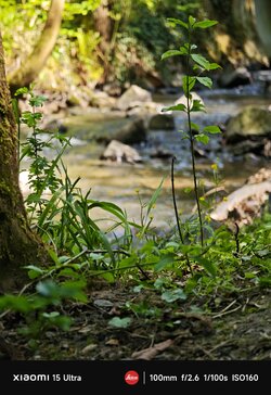 IMG_20250501_143324.jpg