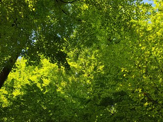 IMG_20250501_102402772_HDR.jpg