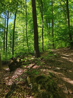 IMG_20250501_104108568_HDR.jpg