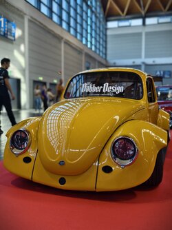 IMG_20250501_171454.jpg