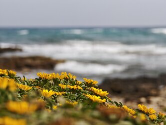 IMG_20250501_152611.jpg