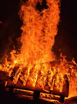 IMG_20250430_210928.jpg