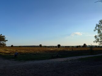 20250501_191704.JPG