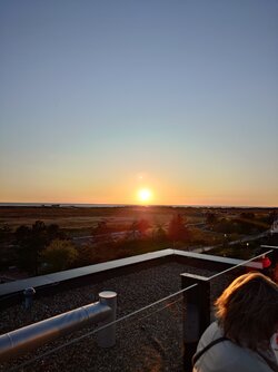 20250426_202904.JPG