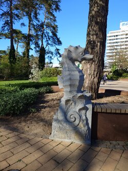 20250425_173957.JPG