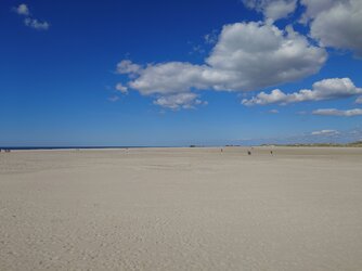 20250426_150131.JPG