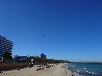 20250425_144509.JPG
