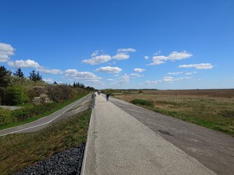 20250426_143325.JPG
