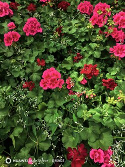 IMG_20250502_111826.jpg