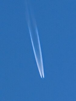 IMG20250502122319~2.jpg