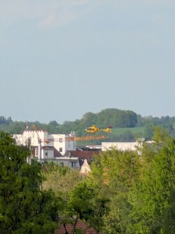 PXL_20250502_153036749.jpg