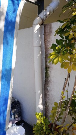 IMG_20250502_134825.jpg