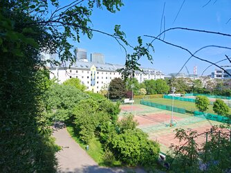 IMG_20250502_162447.jpg