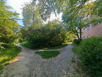 IMG_20250502_162311.jpg