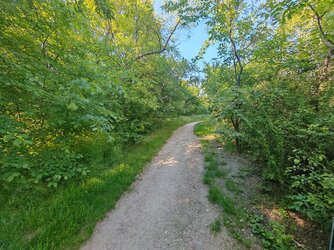 IMG_20250502_162515.jpg