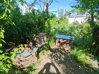 IMG_20250502_164132.jpg